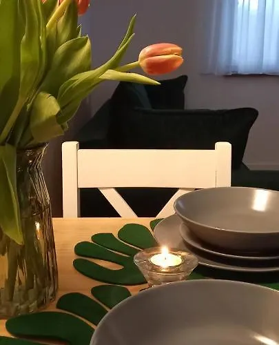 Apartman Siedlisko Czapla Kolo Przy Suntago - Caloroczny Murowany Ogrzewany *