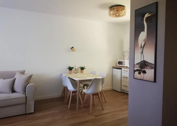 Apartman Siedlisko Czapla Kolo Przy Suntago - Caloroczny Murowany Ogrzewany Grabce-Towarzystwo