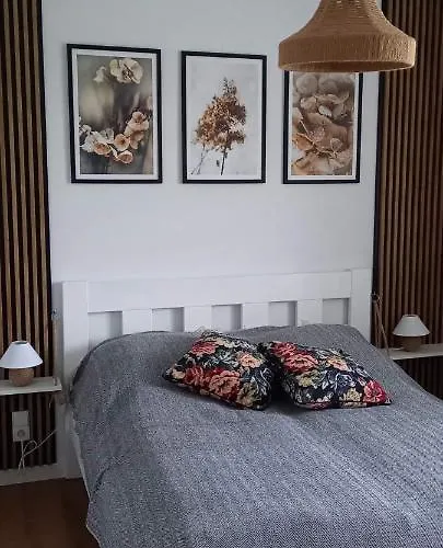 Apartman Siedlisko Czapla Kolo Przy Suntago - Caloroczny Murowany Ogrzewany